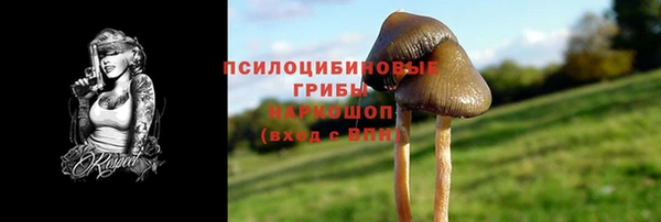 первитин Арсеньев