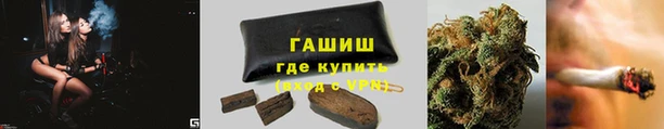 крисы Аркадак