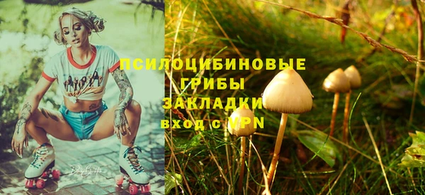 крисы Аркадак