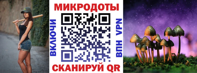 наркотики Байкальск Псилоцибиновые грибы MAGIC MUSHROOMS